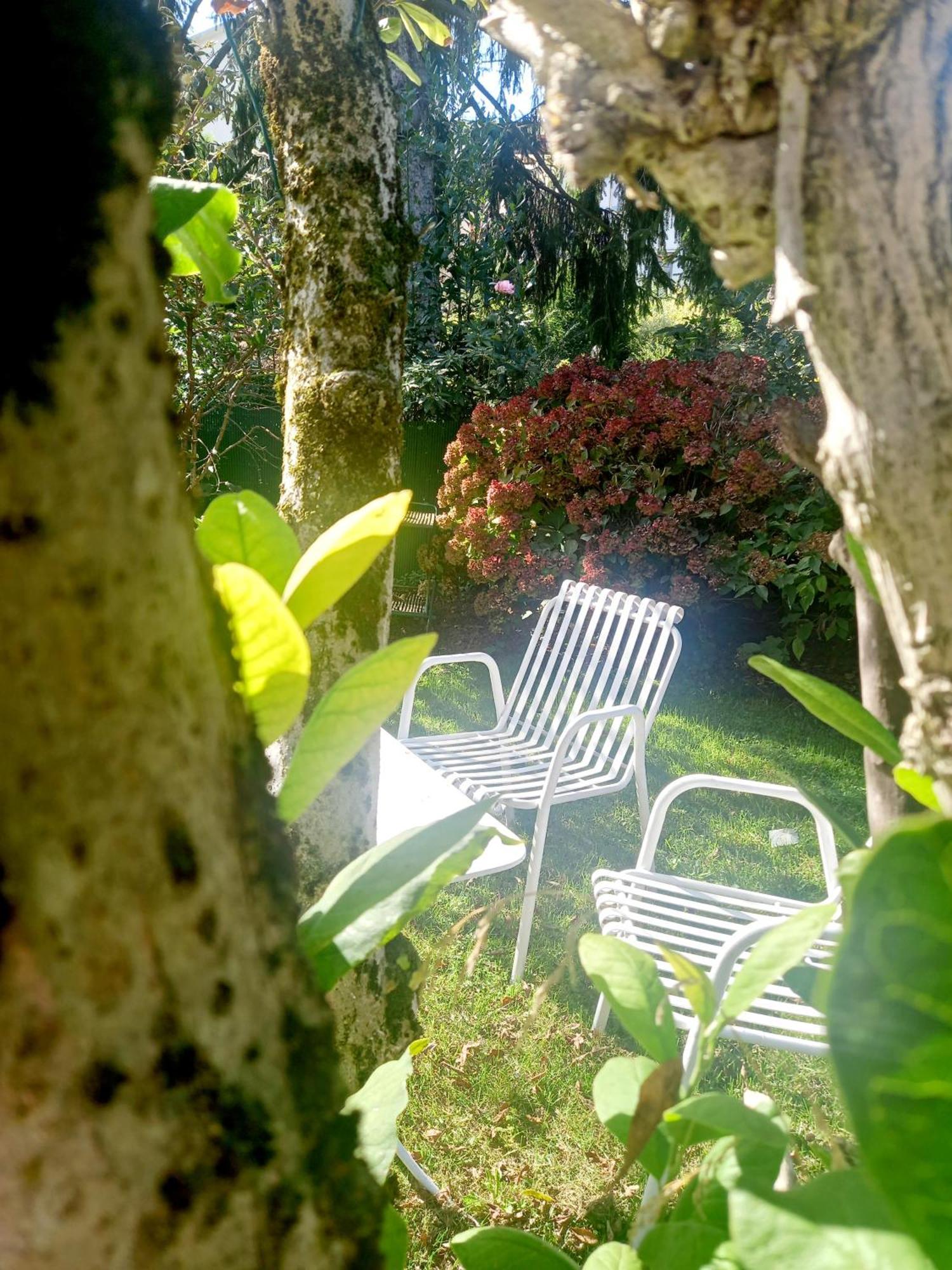 A Casa Di Dora Bed & Breakfast Treviso Ngoại thất bức ảnh