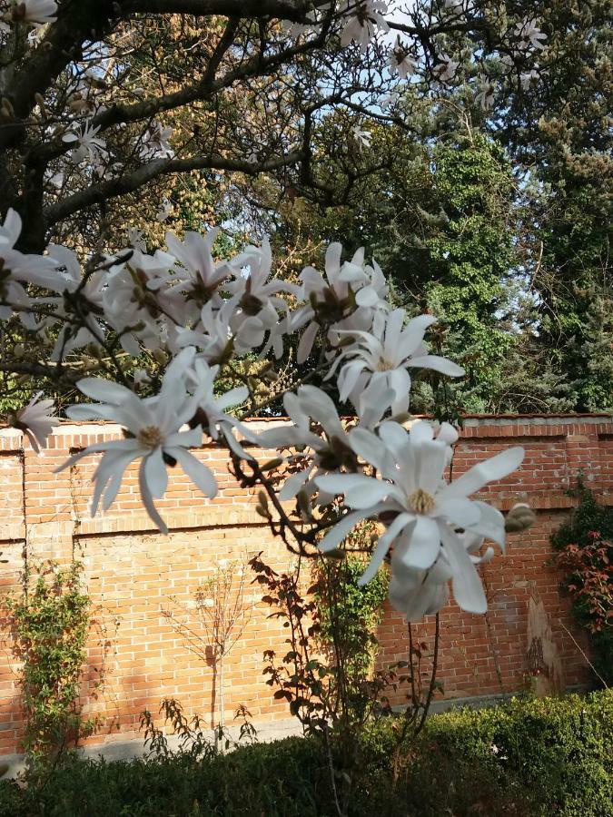 A Casa Di Dora Bed & Breakfast Treviso Ngoại thất bức ảnh
